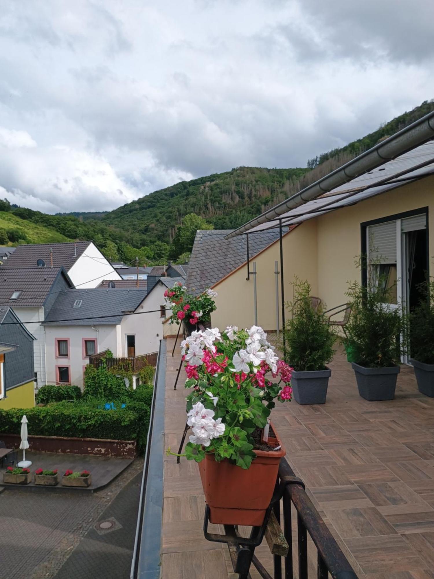 Gasthof Zur Grafschaft Veldenz Dış mekan fotoğraf